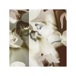 Cymbidium Orchid II-Jane Ann Butler-Giclee Print