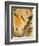 Jane Avril-Henri de Toulouse-Lautrec-Framed Giclee Print