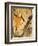 Jane Avril-Henri de Toulouse-Lautrec-Framed Giclee Print