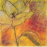 Scripted Bloom 4-Jane Bellows-Framed Art Print