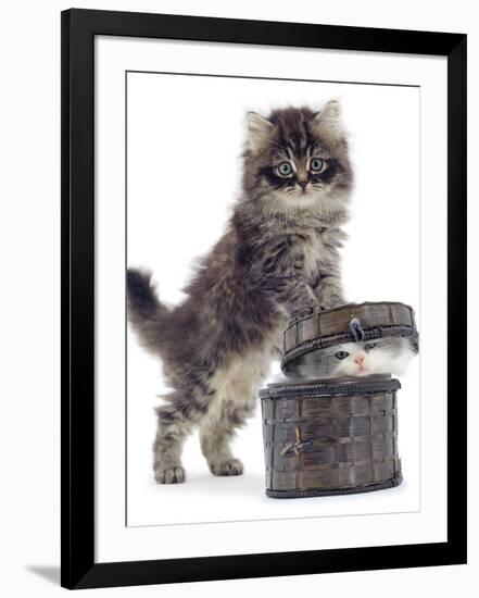 Photographic Print, , large