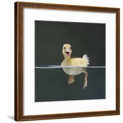 Beautiful Framed Art Prints Artwork For Posters And Beautiful Framed Art Prints Artwork For Posters And