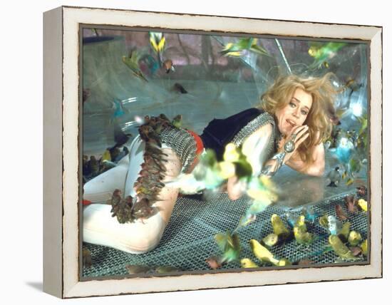 Jane Fonda is Preyed Upon by Parakeets and Finches in Scene from Roger Vadim's "Barbarella"-Carlo Bavagnoli-Framed Premier Image Canvas