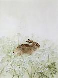 Rabbit-Jane Neville-Laminated Giclee Print