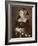 Jane Seymour, 1536-Hans Holbein the Younger-Framed Giclee Print