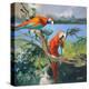 Stretched Canvas Print