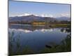 Premium Photographic Print