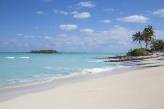 Flamingo on Flamingo Beach, Renaissance Island, Oranjestad, Aruba, Lesser Antilles-Jane Sweeney-Photographic Print