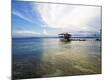 Photographic Print