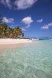 Flamingo on Flamingo Beach, Renaissance Island, Oranjestad, Aruba, Lesser Antilles-Jane Sweeney-Photographic Print