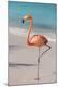 Premium Photographic Print