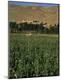 Premium Photographic Print