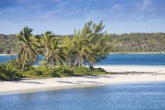 Flamingo on Flamingo Beach, Renaissance Island, Oranjestad, Aruba, Lesser Antilles-Jane Sweeney-Photographic Print