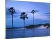 Photographic Print