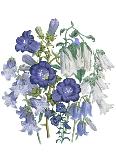 Delphiniums, Plate 3 from "The Ladies" Flower Garden", Published 1842-Jane W. Loudon-Giclee Print