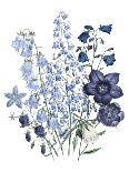 Lily Garden IV-Jane W^ Loudon-Art Print