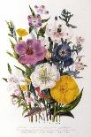 Spring Bouquet-Jane W. Loudon-Giclee Print