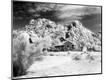 Photographic Print