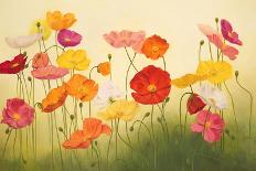 Sunlit Poppies-Janelle Kroner-Framed Art Print