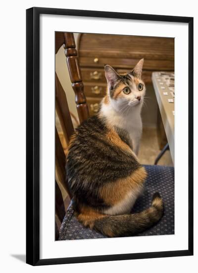Photographic Print, , large