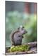 Photographic Print