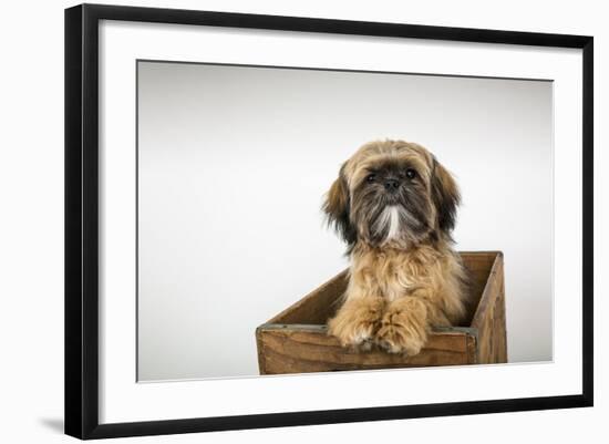 Photographic Print, , large