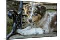 Photographic Print