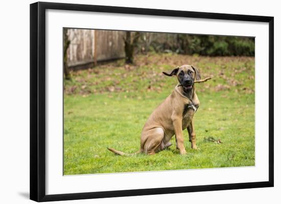 Photographic Print, , large