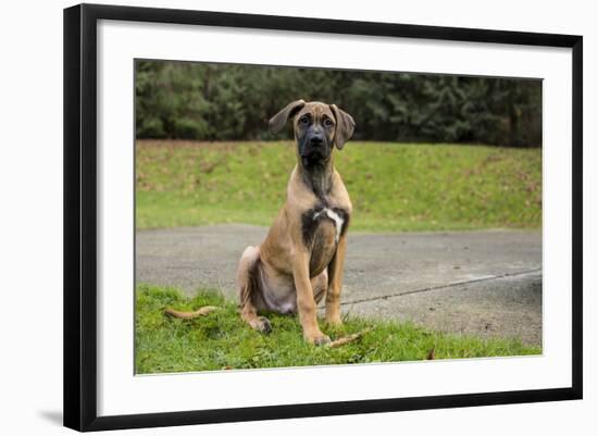 Photographic Print, , large