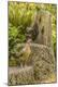 Premium Photographic Print