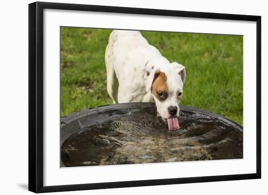 Photographic Print, , large