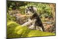 Photographic Print