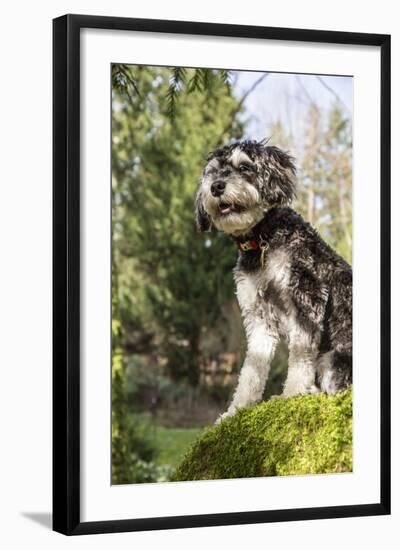 Photographic Print, , large