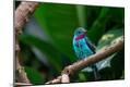 Photographic Print
