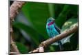 Photographic Print