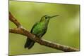 Photographic Print