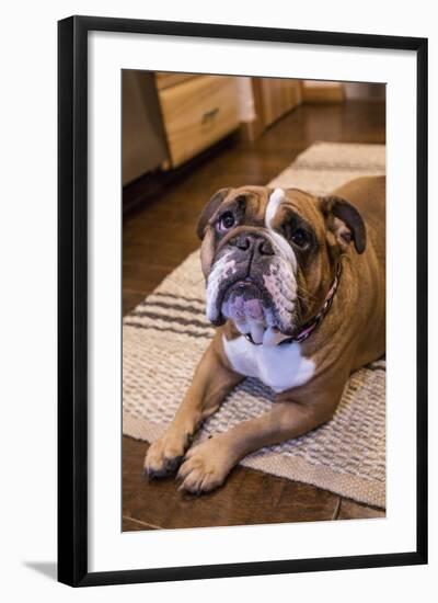 Photographic Print, , large