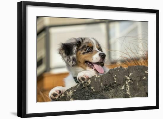 Photographic Print, , large