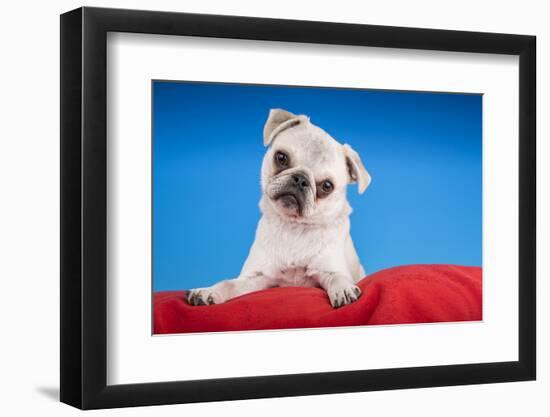 Photographic Print, , large