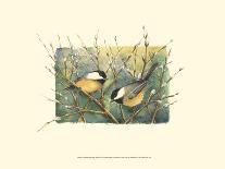 Chickadees and Pussy Willow-Janet Mandel-Framed Art Print