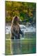 Photographic Print