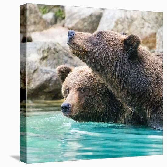 Stretched Canvas Print, , large