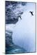 Premium Photographic Print