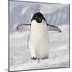 Premium Photographic Print