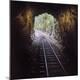 Premium Photographic Print