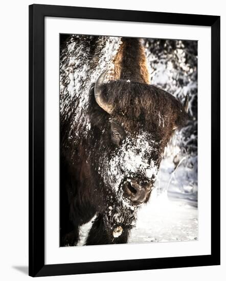 Photographic Print, , large