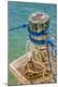 Premium Photographic Print