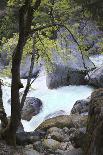 Yosemite National Park, Wyoming, USA. Intimate River Scene-Janet Muir-Photographic Print
