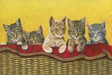 Five Kittens in Basket-Janet Pidoux-Giclee Print