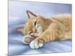 Giclee Print